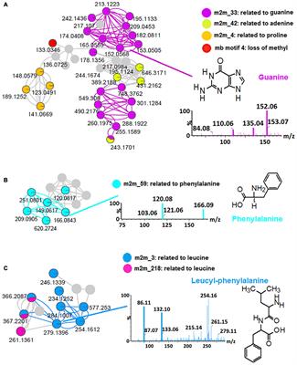 Mass Spectral Molecular Networking to Profile the Metabolome of Biostimulant Bacillus Strains